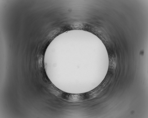 X0000099430717200805301429