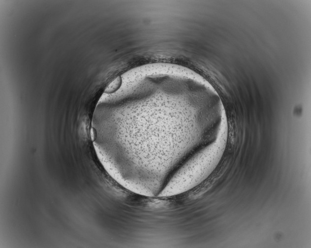 X0000099430718200805301429