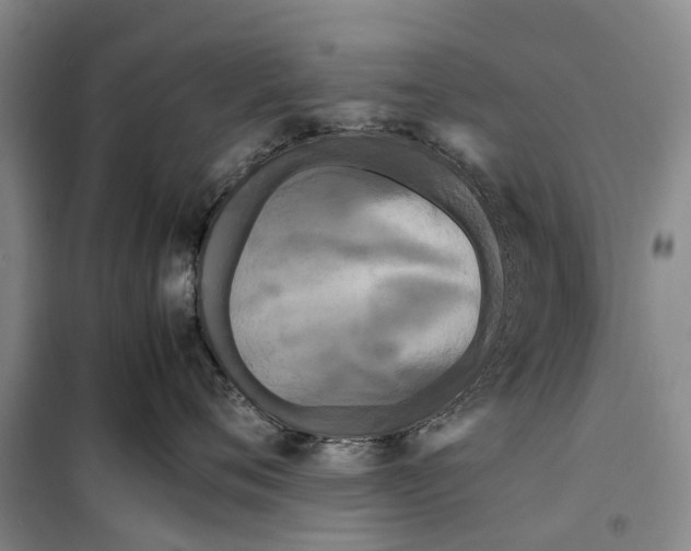 X0000099430720200805301429