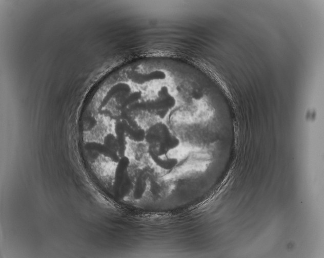 X0000099430721200805301428