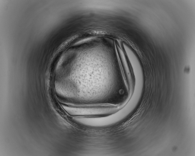 X0000099430722200805301428