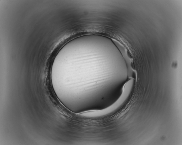 X0000099430723200805301428