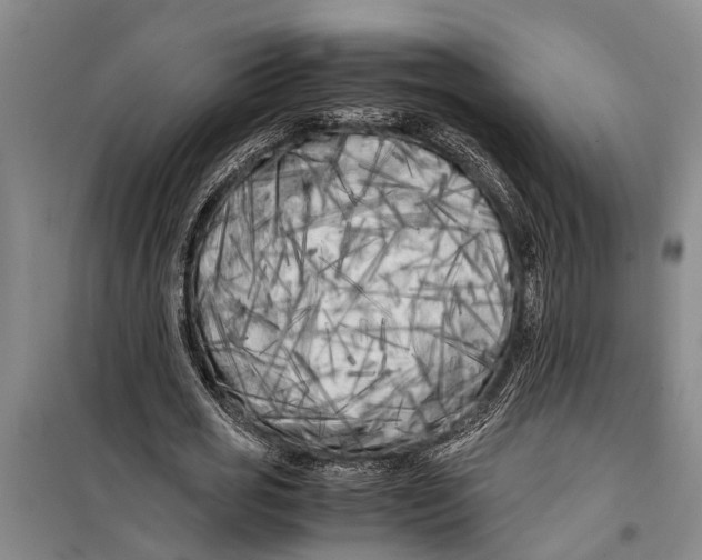 X0000099430725200805301428