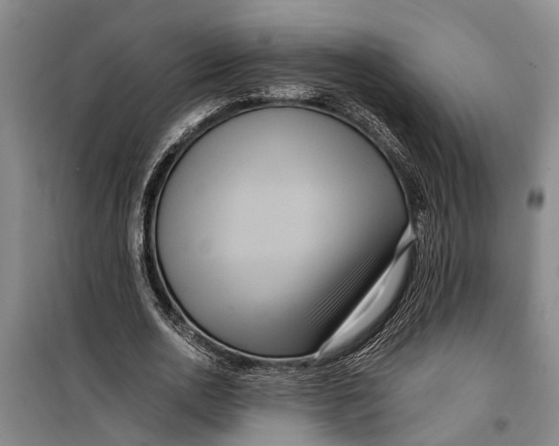 X0000099430726200805301428