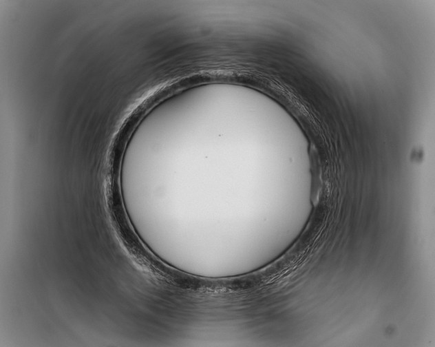 X0000099430728200805301428