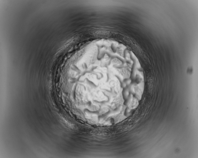 X0000099430729200805301428