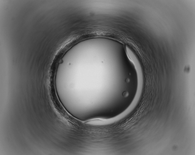 X0000099430730200805301428