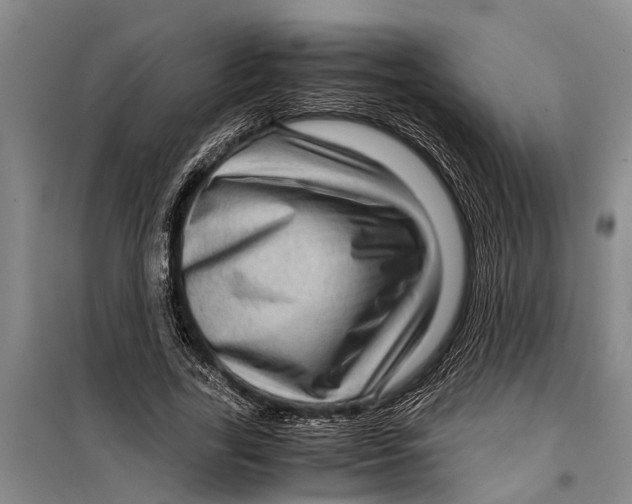 X0000099430731200805301428