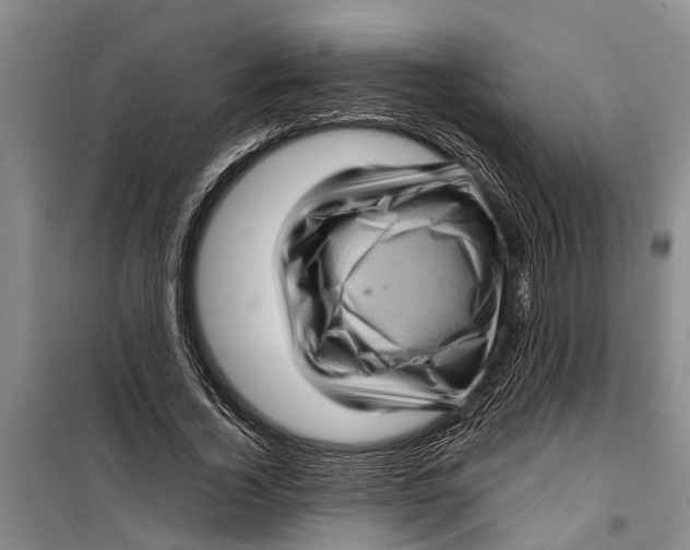 X0000099430732200805301428