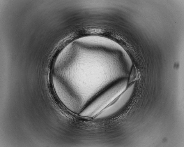 X0000099430733200805301428