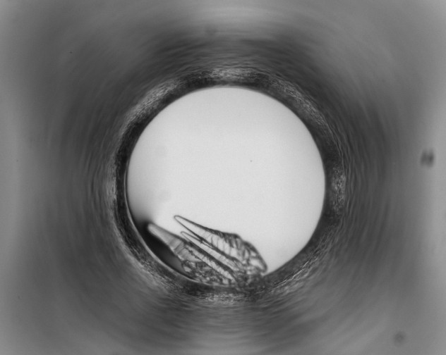 X0000099430734200805301428