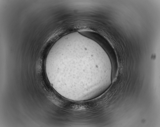 X0000099430735200805301428