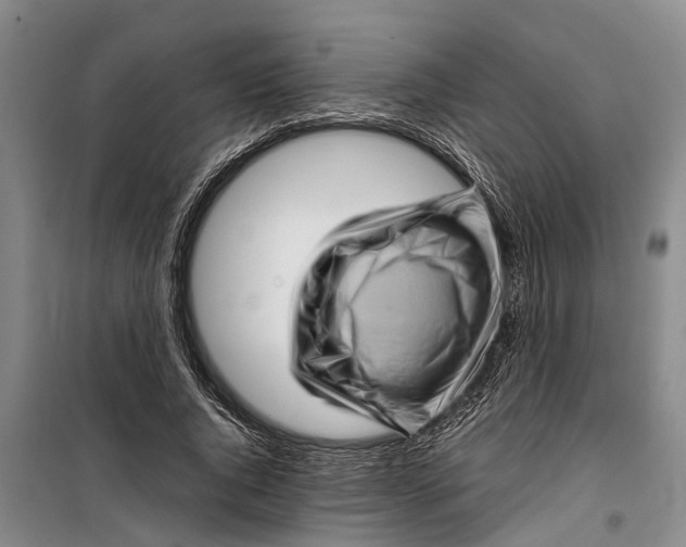 X0000099430736200805301428