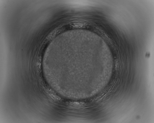 X0000099430737200805301428