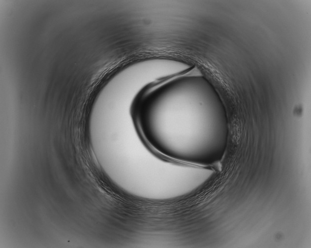 X0000099430740200805301428