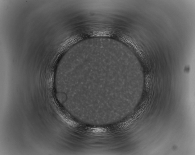 X0000099430741200805301428