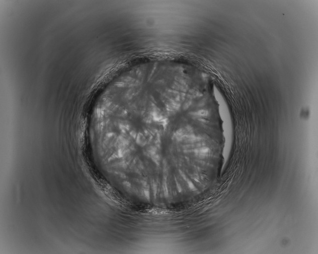 X0000099430742200805301428