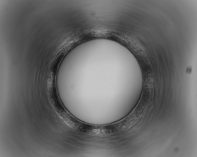 X0000099430744200805301428