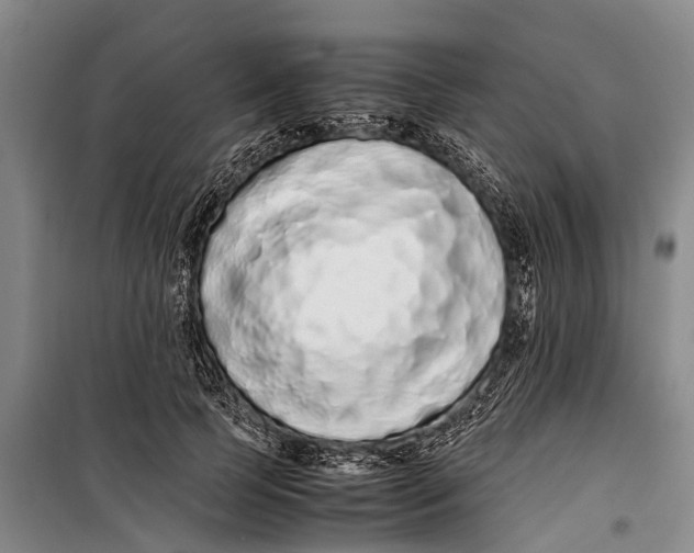 X0000099430745200805301428