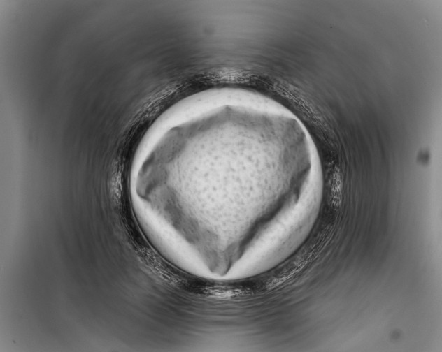 X0000099430746200805301428