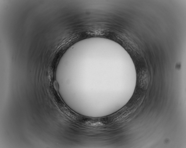 X0000099430747200805301428