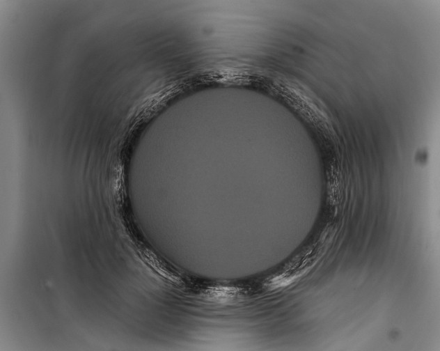 X0000099430748200805301428