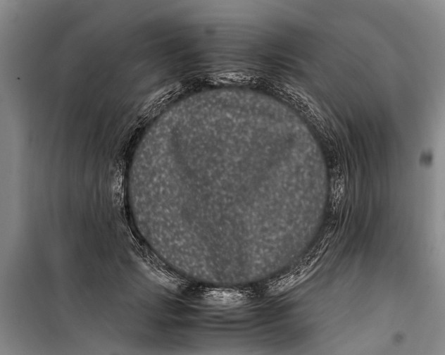 X0000099430749200805301428