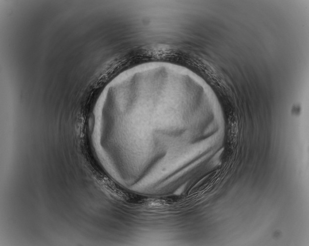 X0000099430750200805301428