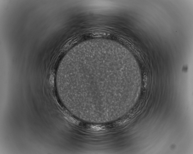 X0000099430753200805301428