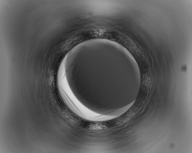 X0000099430754200805301428