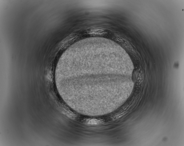 X0000099430755200805301428