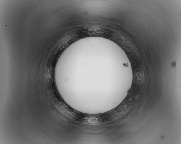 X0000099430756200805301428