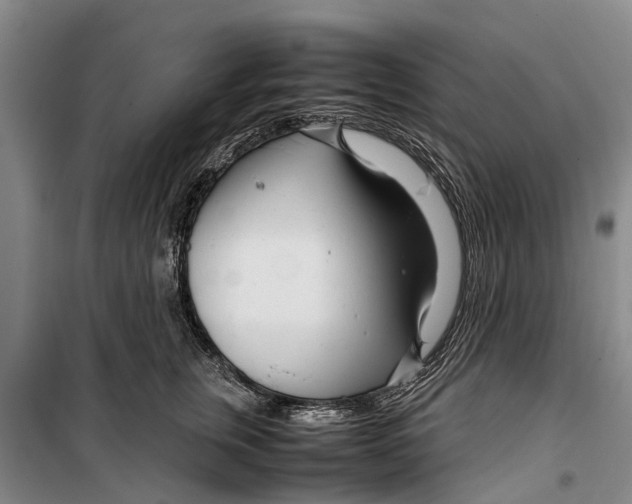 X0000099430759200805301428