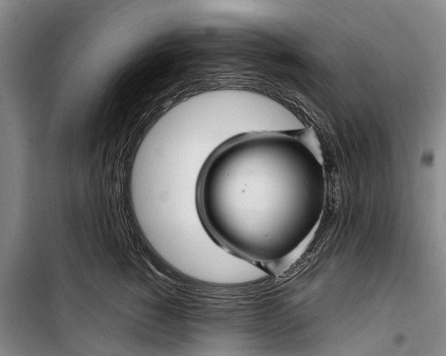 X0000099430760200805301428