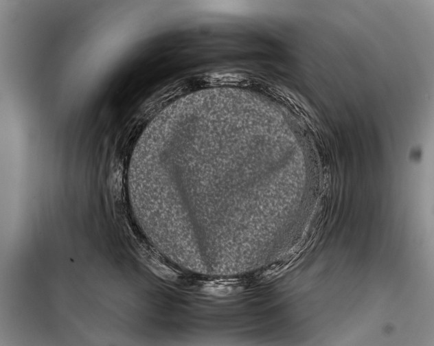 X0000099430761200805301428