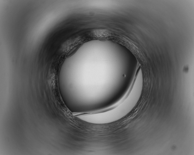 X0000099430762200805301428