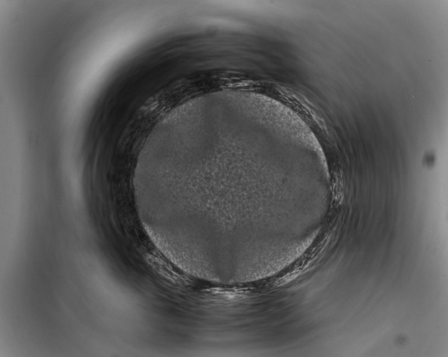 X0000099430763200805301428