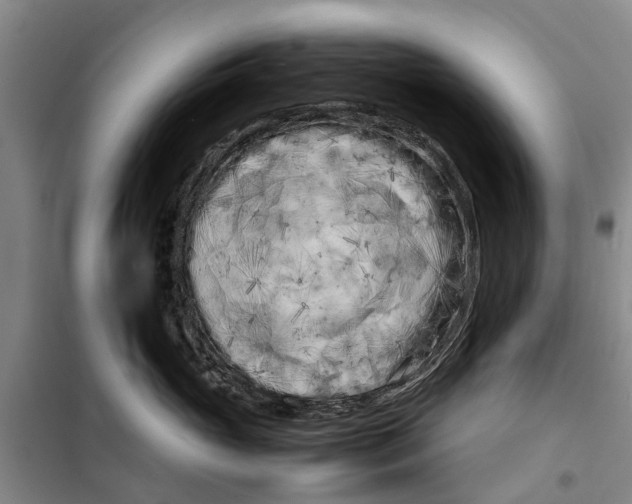 X0000099430765200805301428