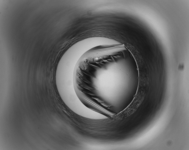 X0000099430766200805301428