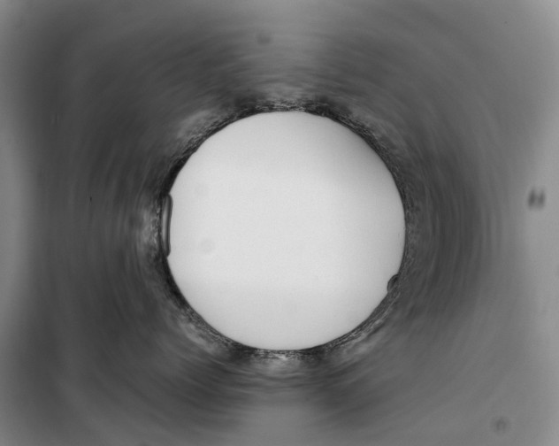 X0000099430768200805301428