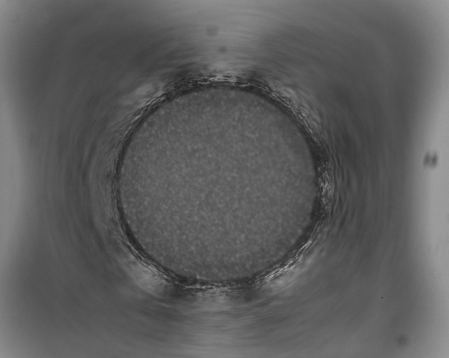 X0000099430769200805301428