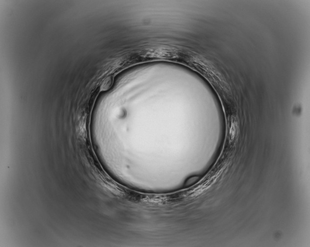 X0000099430771200805301428