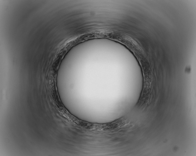 X0000099430773200805301428