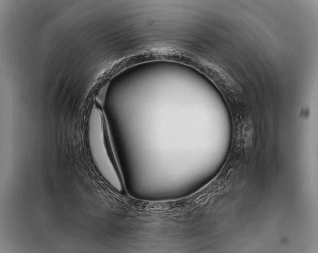 X0000099430776200805301428