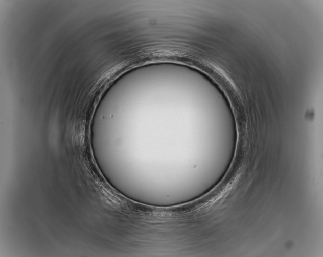 X0000099430777200805301428