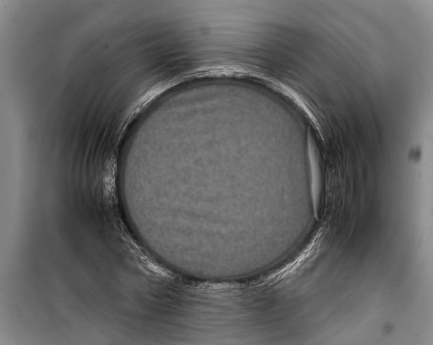 X0000099430778200805301428