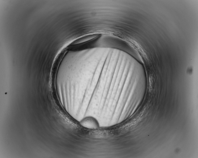 X0000099430780200805301428