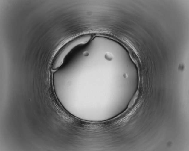 X0000099430781200805301428