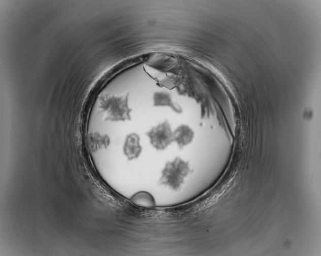 X0000099430783200805301428