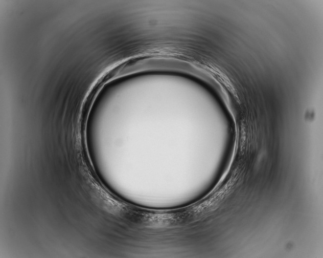 X0000099430784200805301428